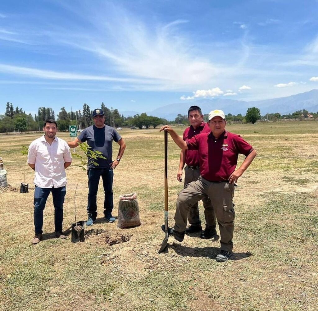 Plantación de árboles de especies nativas