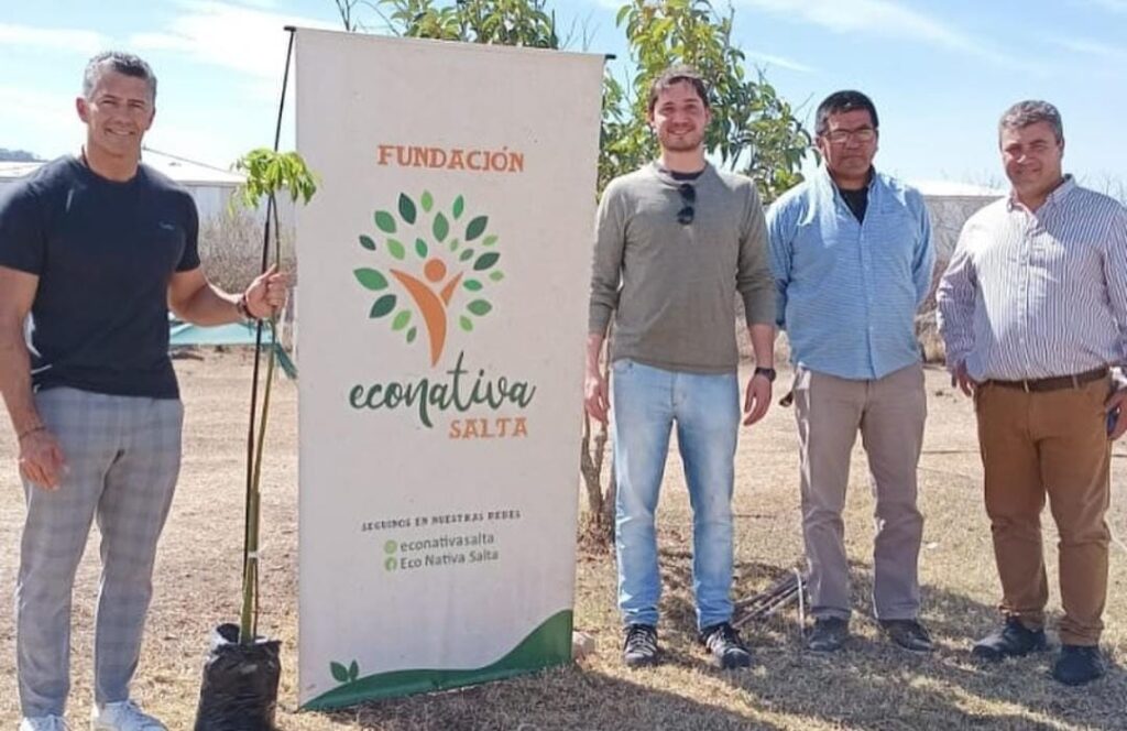 Plantación de arboles nativos