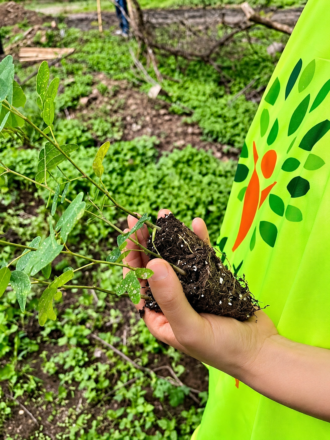 Eco Nativa Impacto